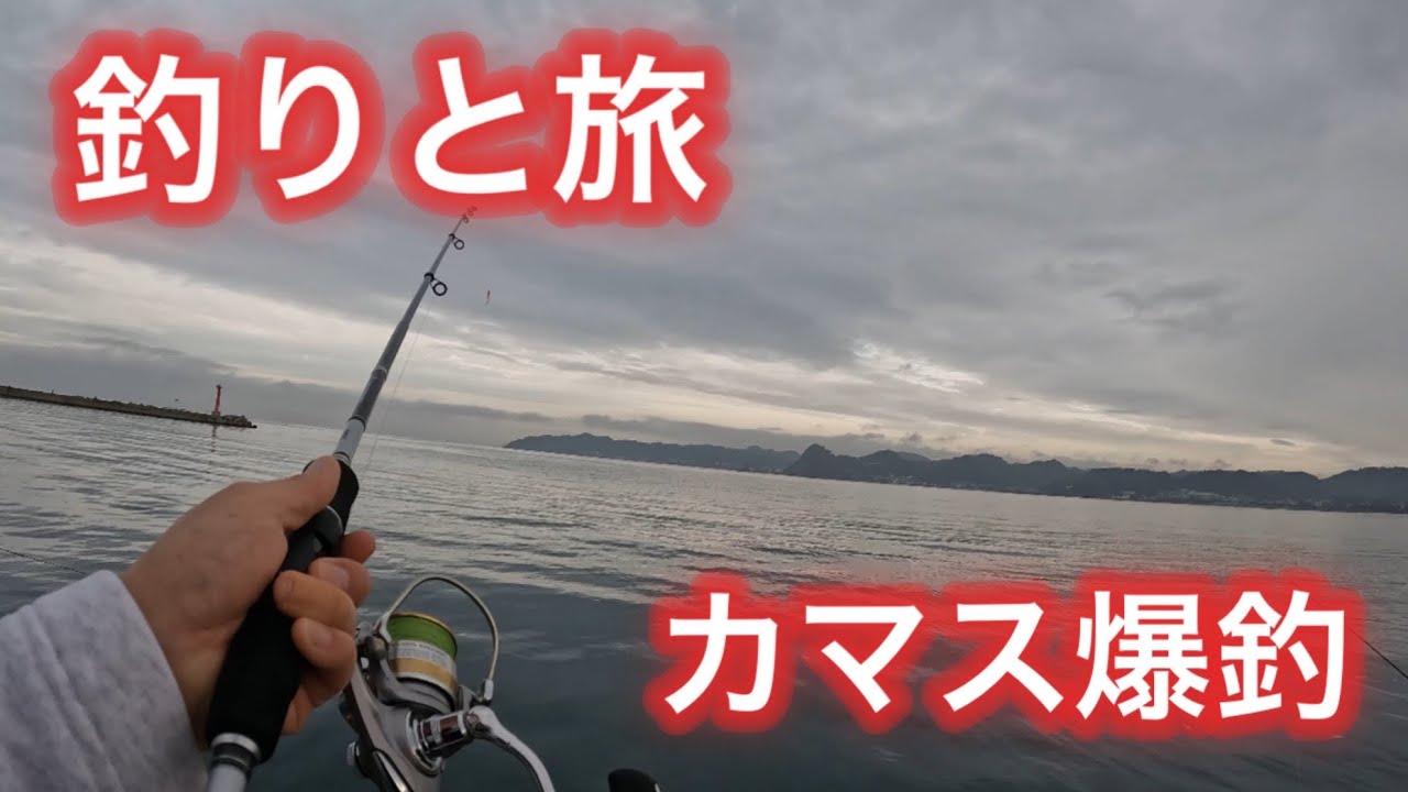 カマス爆釣　館山湾　富浦漁港