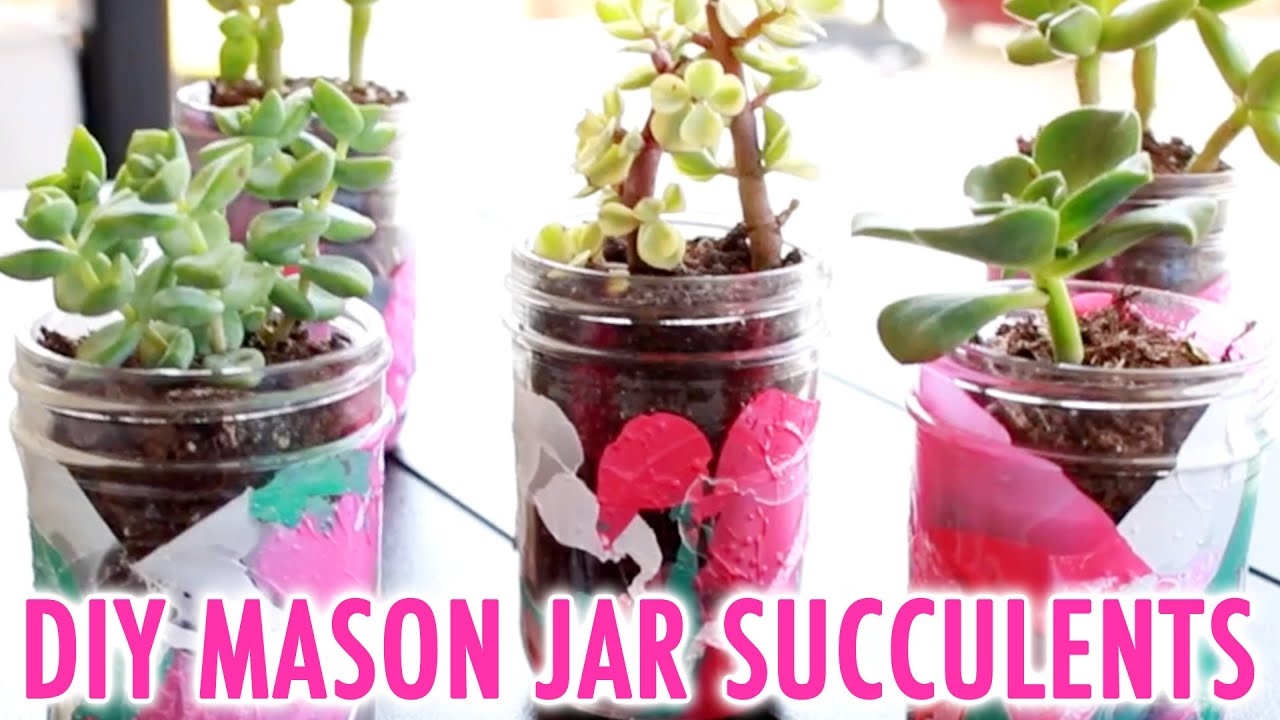 DIY Mason Jar Succulents - HGTV Handmade