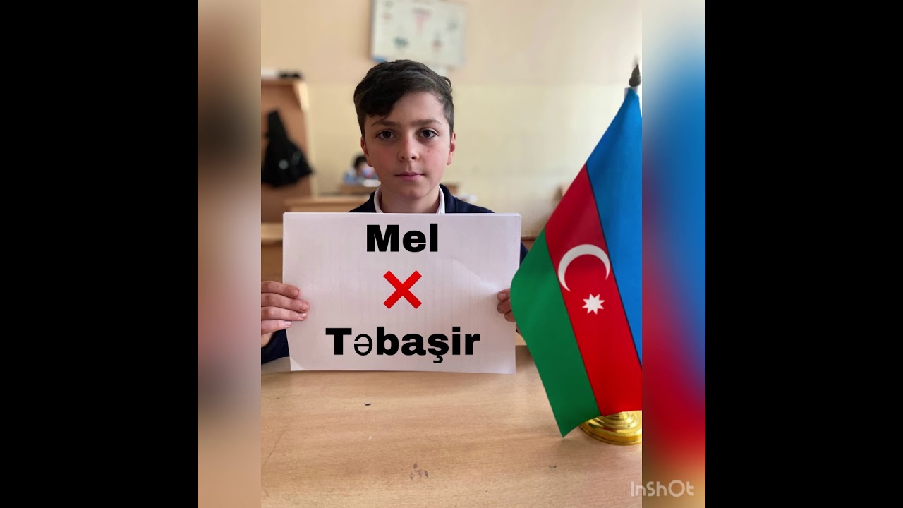 Ana dili - günü