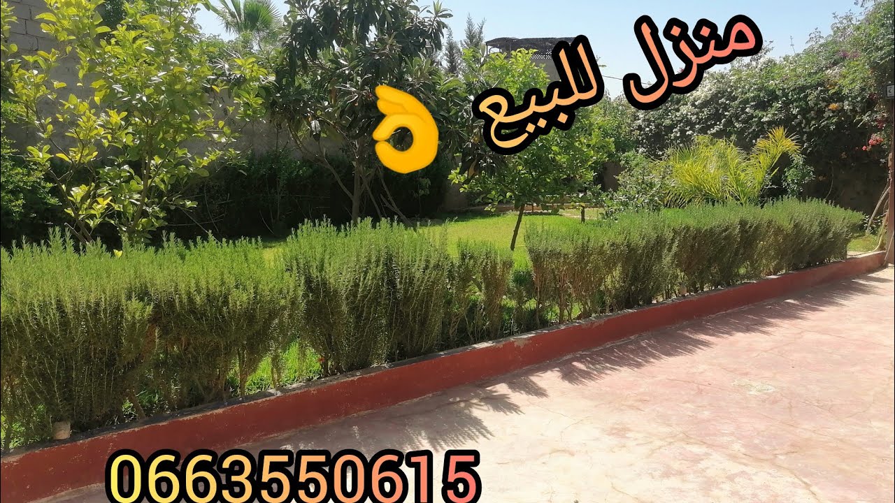 منزل للبيع بالجردة🏠 موقع ممتاز تمزوزت🏔️ نواحي أوريكا✅ مساحته 630 متر بثمن مناسب👌 0663550615 📞