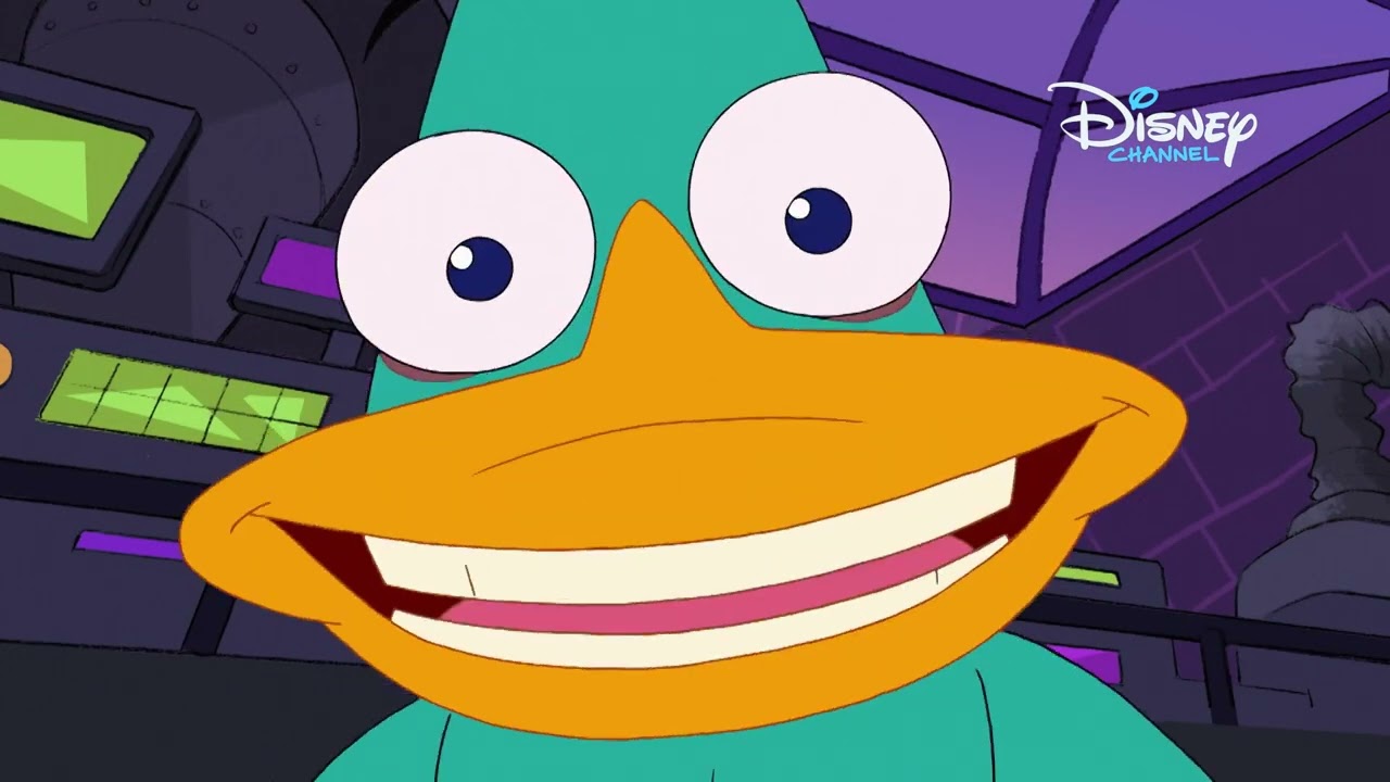 🦫 DunderDziobak | Fineasz i Ferb | Disney Channel Polska