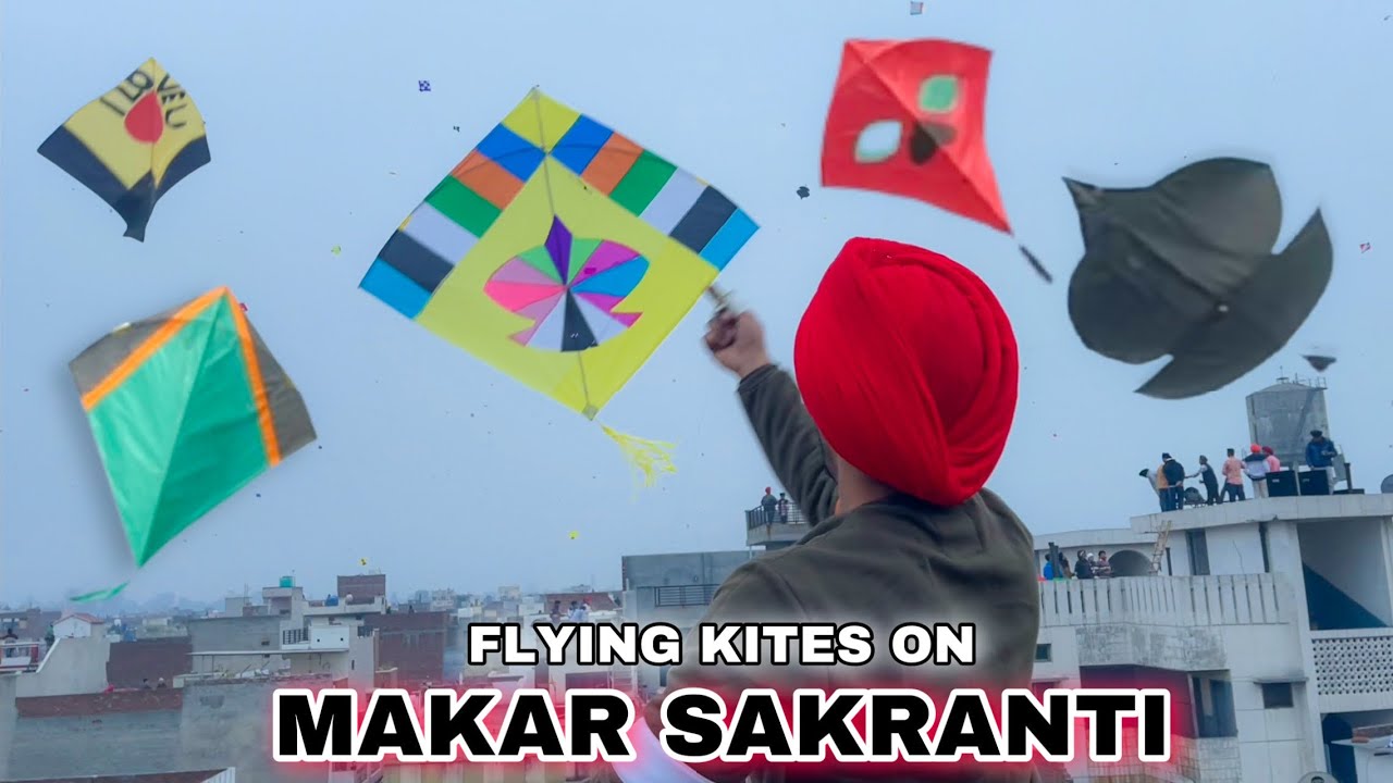 Kite Fight on Makar Sakranti 😱 patang , Kites , Manjha