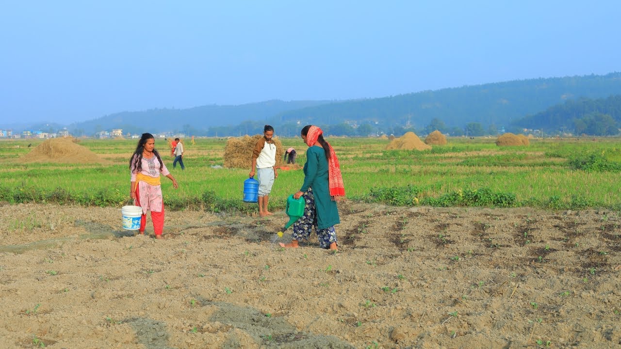 प्राविधिक तालिमले कृषि उत्पादन बढ्न थालेको छ | उब्जनी |