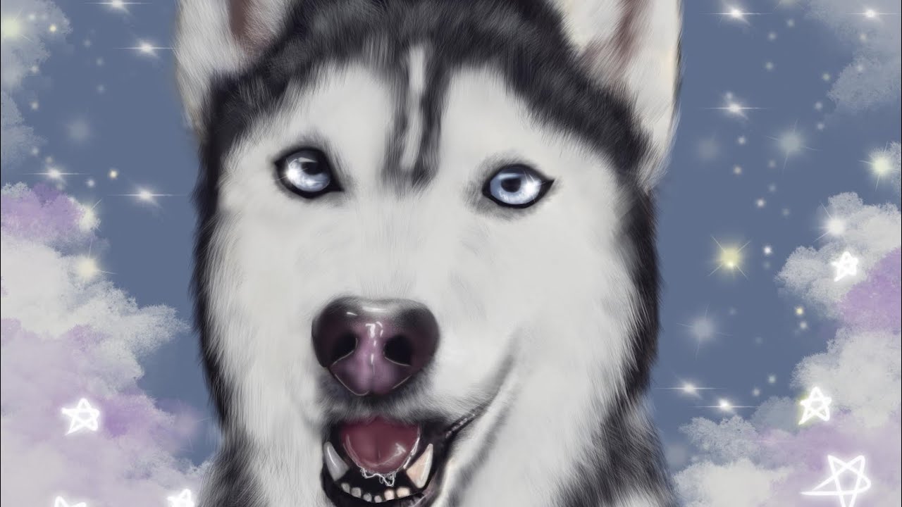Procreate for Beginners / Pet Portrait