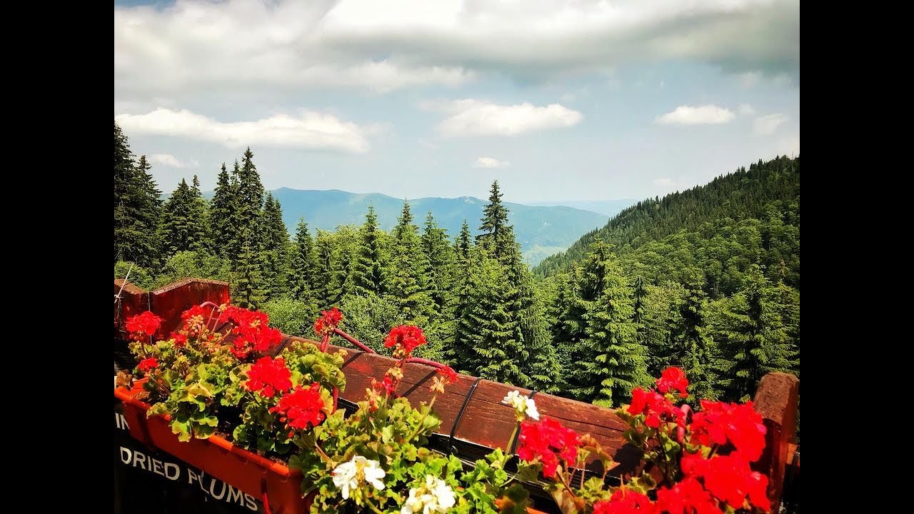 Turist INFO 360 &deg; &icirc;n jurul unității tale de cazare