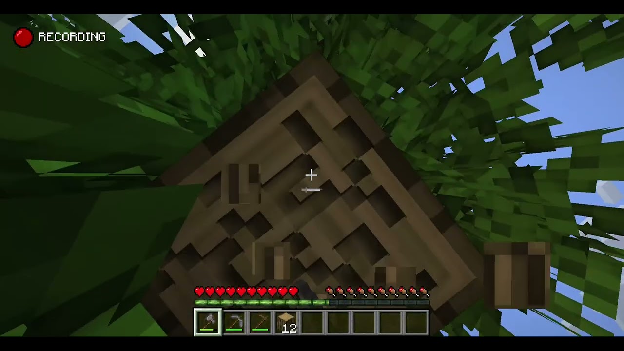 Starting Sloths Paradise