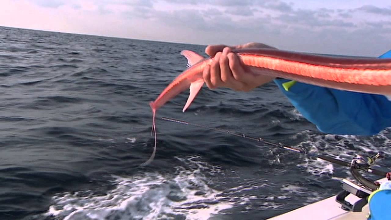 【釣り百景】#062 玄界灘育ちの人気釣法・落し込み釣り　食物連鎖に大興奮の迫力ファイト！
