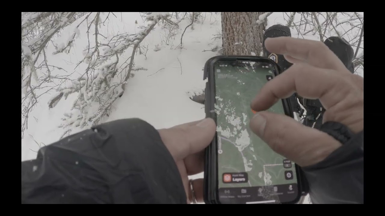 Finding Stillness on a Winter Trail | Carson National Forest