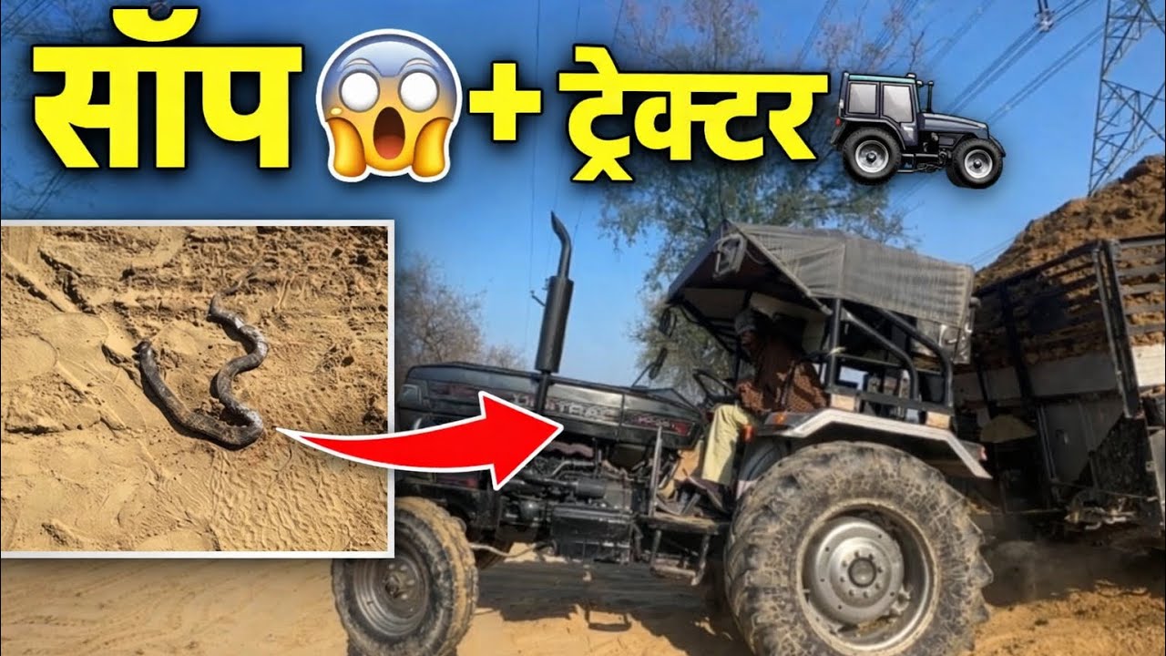 Digitrac full wight 💪 power || sanp🐍😱