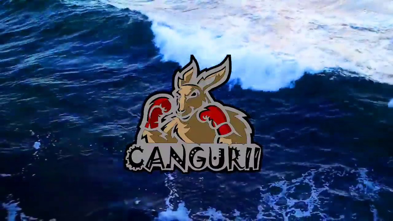 Bâţu x Skriz - Cangurii 🦘 (Visual)
