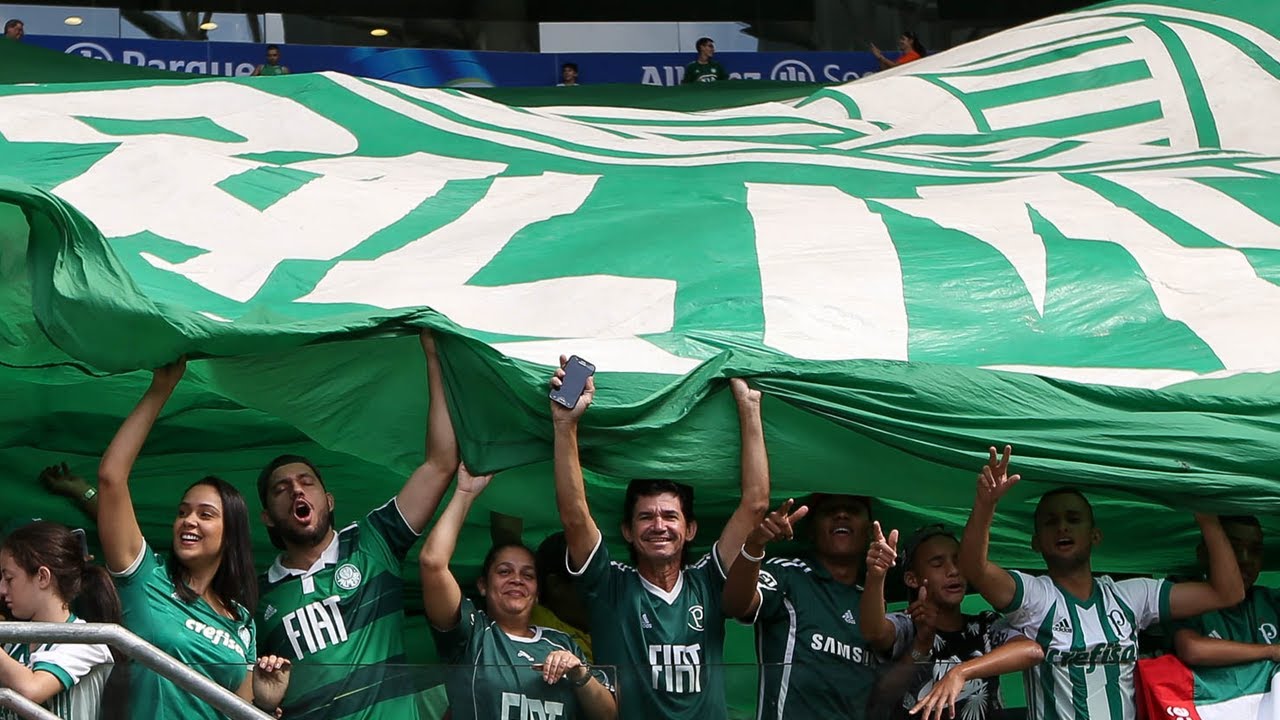 PALMEIRAS ULTRAS / TORCIDAS | MANCHA ALVI VERDE | BRAZIL