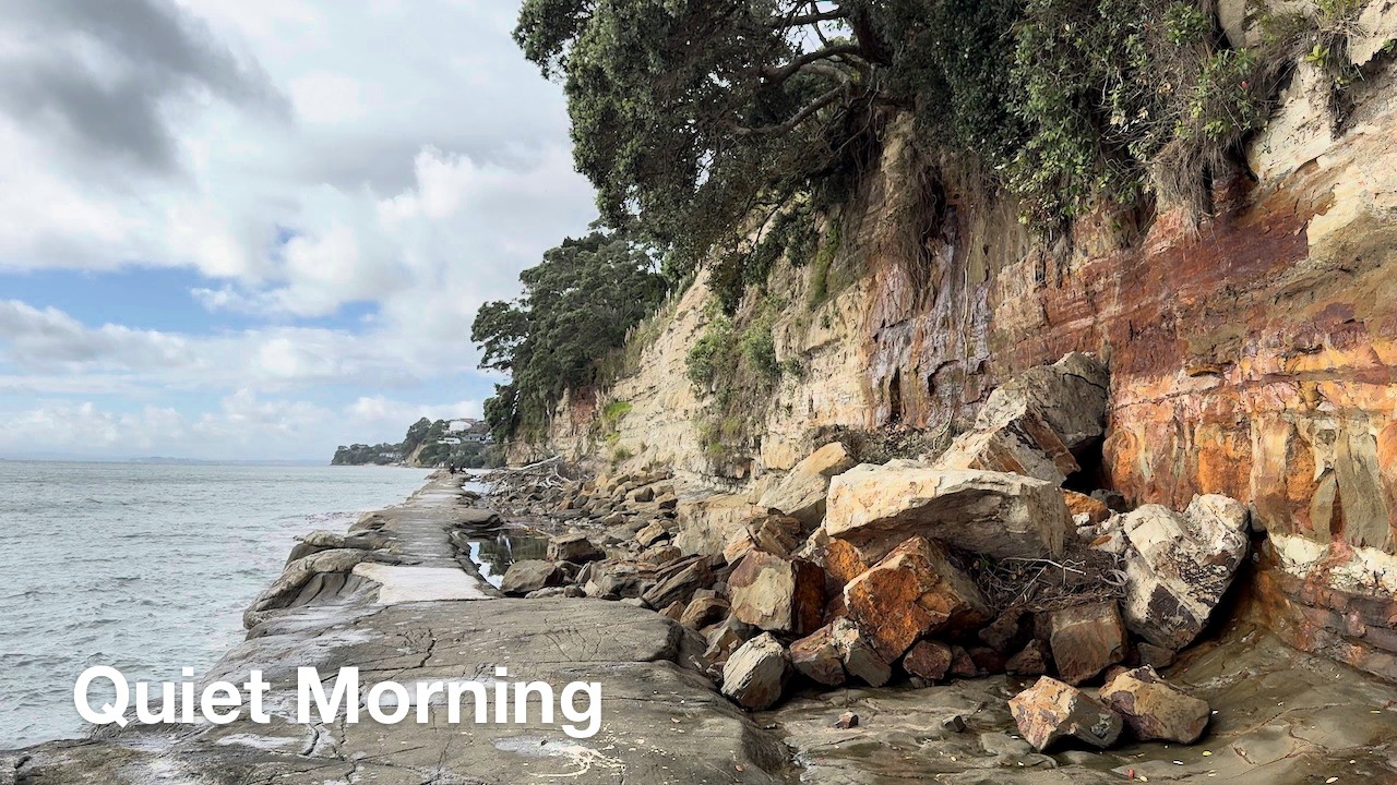 Morning Walk:  Rothesay Bay to Mairangi Bay | Auckland Coastal Cliff Walk (43 min)