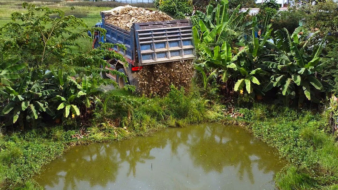 NICELY Activities!! START Landfill FLOODED POND By EXPERT Skill DOZER Driver & 5Ton Dump Truck.