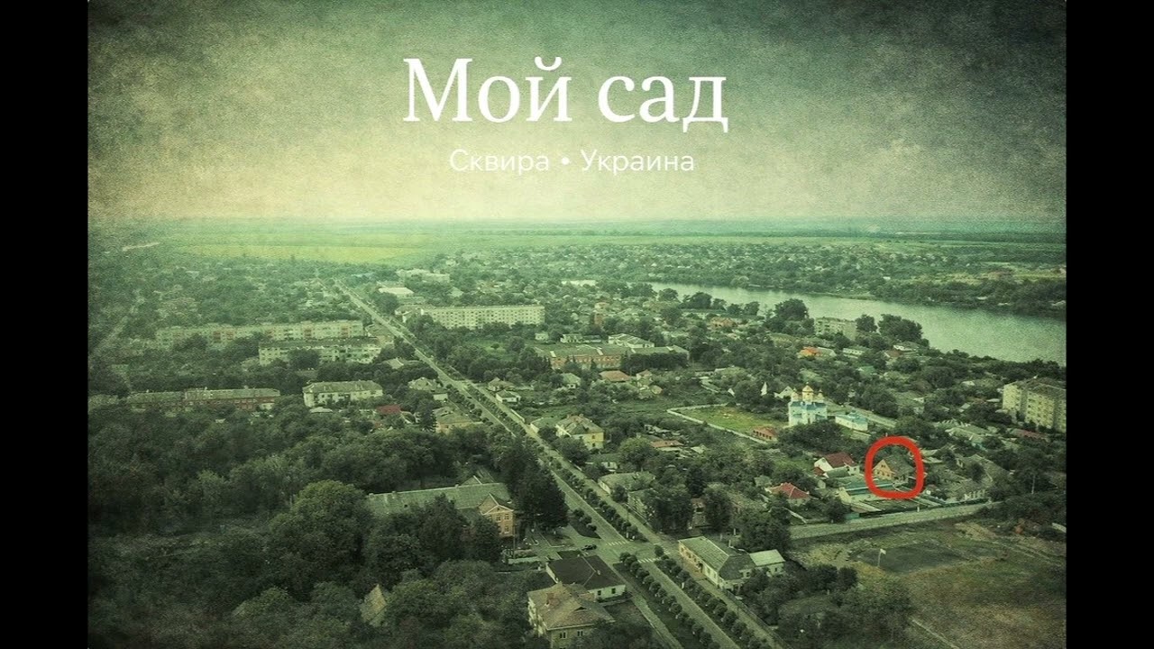 Мой сад