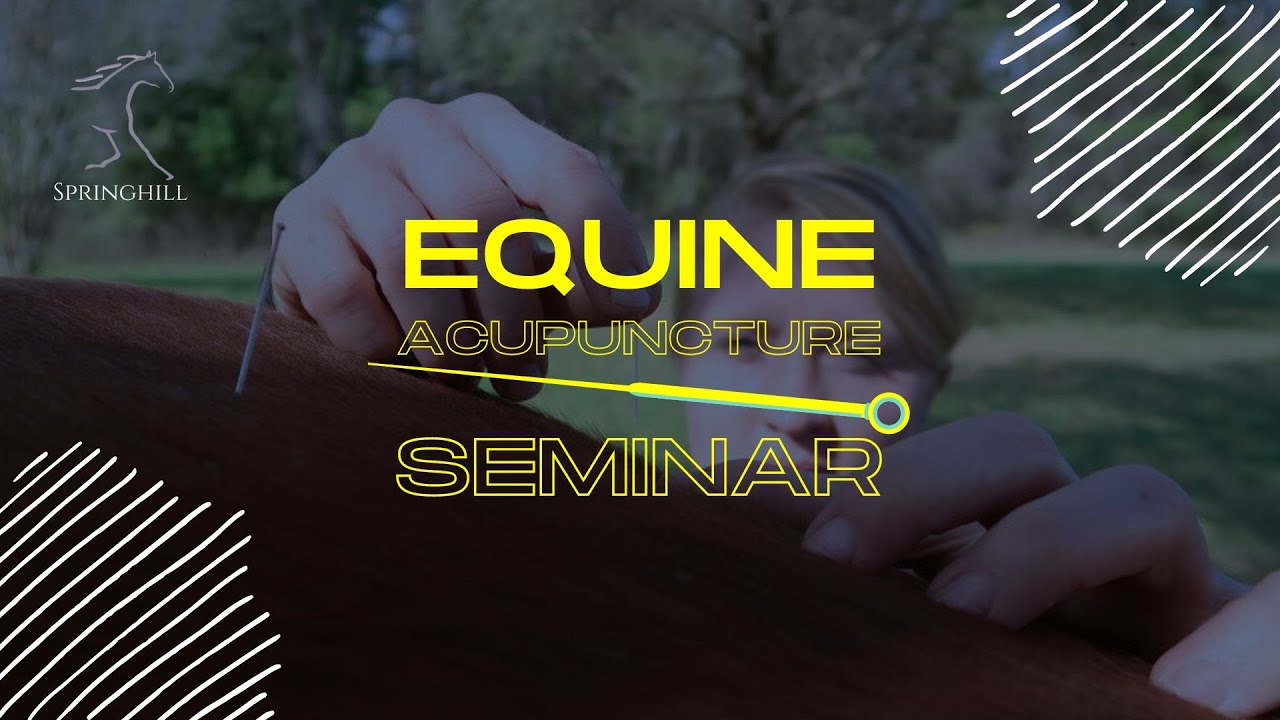 Equine Acupuncture Seminar