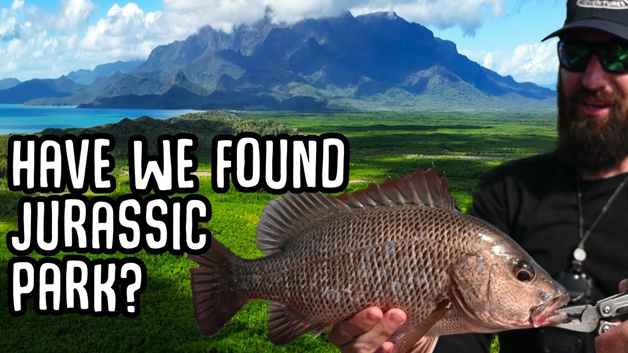 Exploring lost Cape York wilderness!