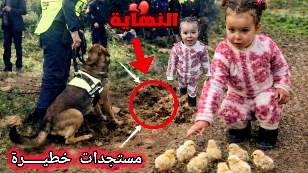 عاااجل 🚨 وأخيرااا مستجدات خطيـــــرة على لسان الجيران...إختفاء غاامض ... شوفوا وش شنو وقع 