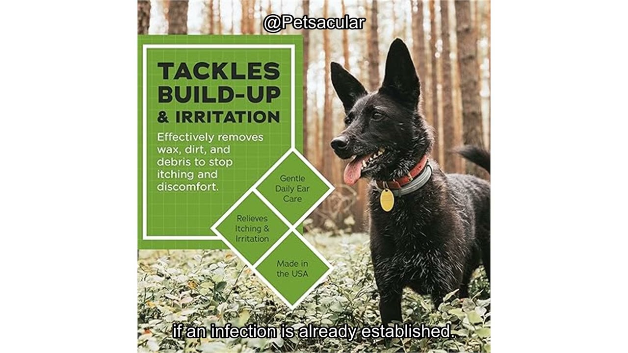 VetWELL Ear Cleaner Review: Does It Effectively Control Infections & Odor in Pets?