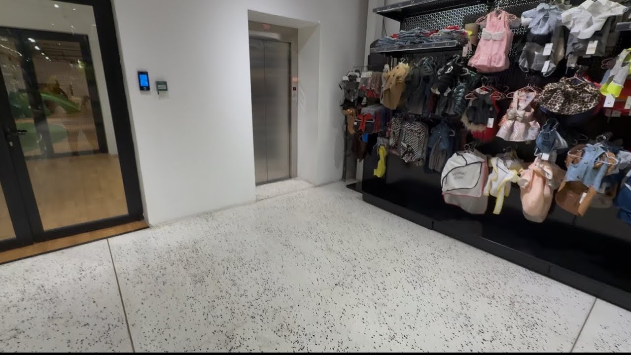 Kuwaiti Generic Lift | Zue pet supplies , Rai, Kuwait