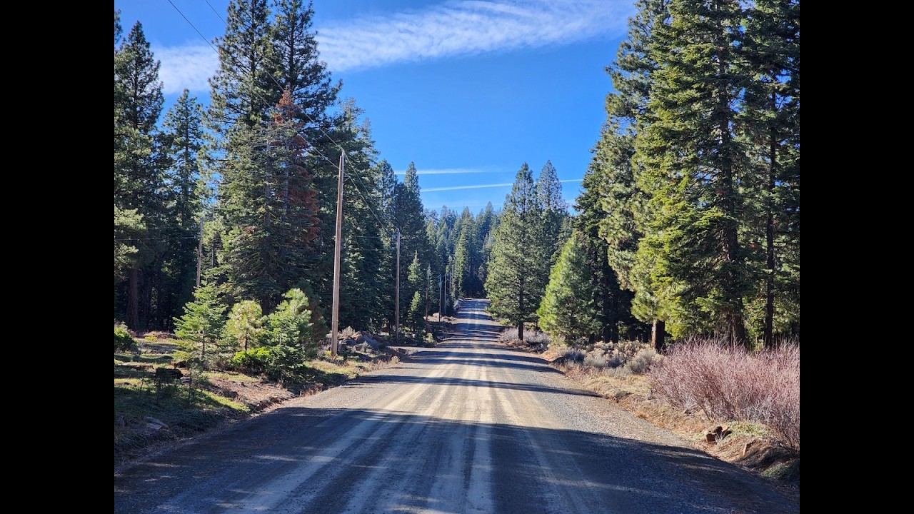 Modoc County, CA - California Pines and Alturas
