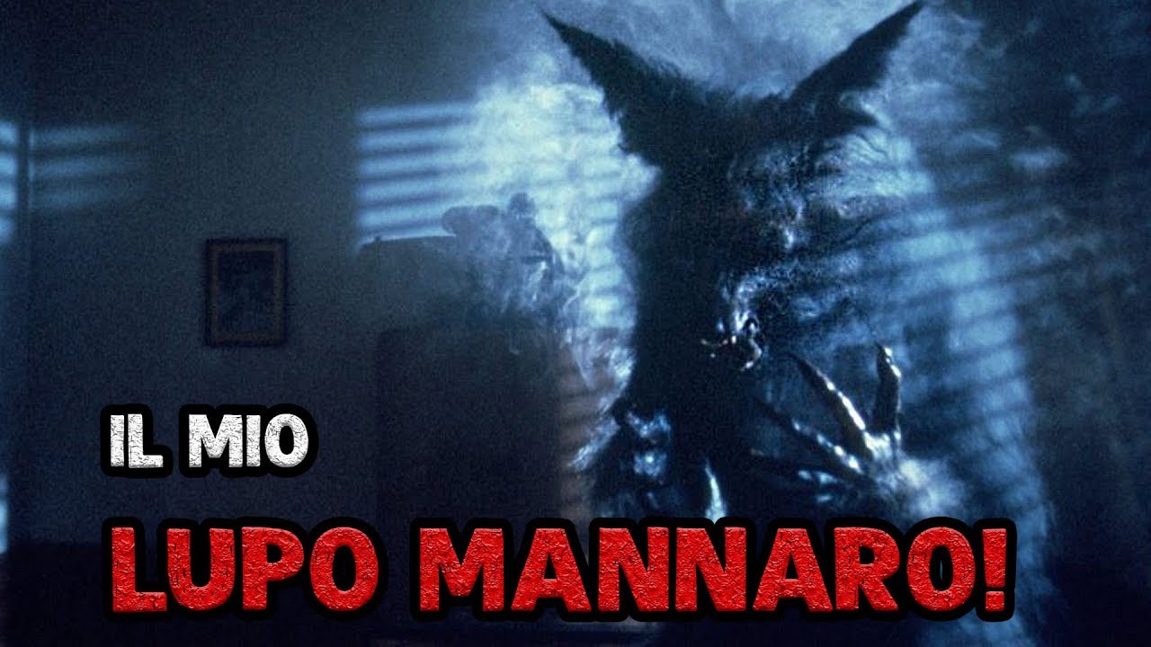IL MIO LUPO MANNARO