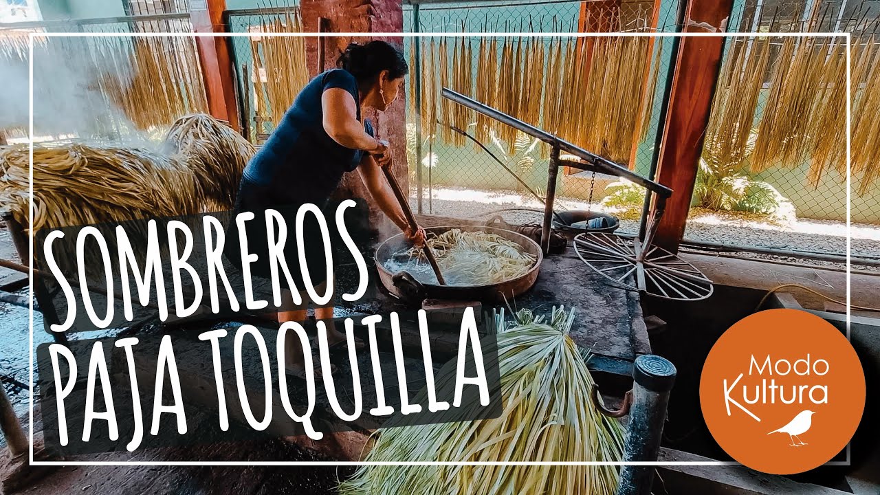 **¿CÓMO SE HACEN LOS SOMBREROS DE PAJA TOQUILLA 🇪🇨?** 🤠PROCESO DE PRINCIPIO A FIN.