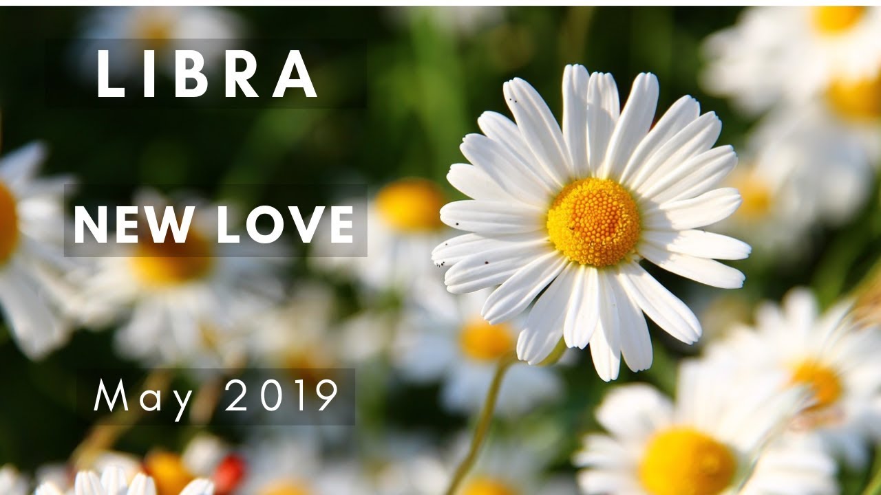 LIBRA: New Love! May 2019