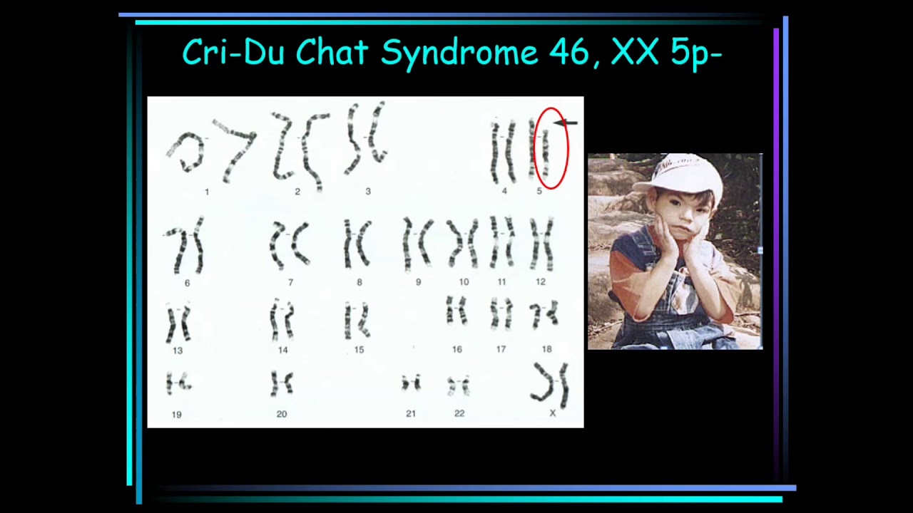 Genetic Counseling for Families