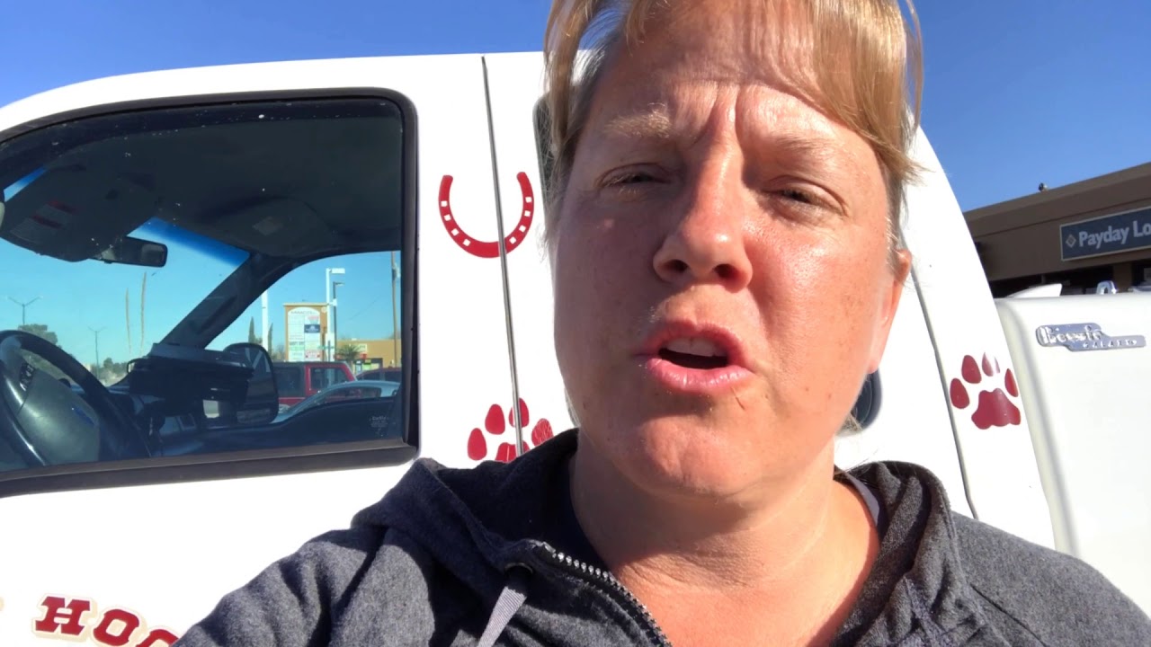 Veterinary tip of the day - pinworms can you get them from your pets?