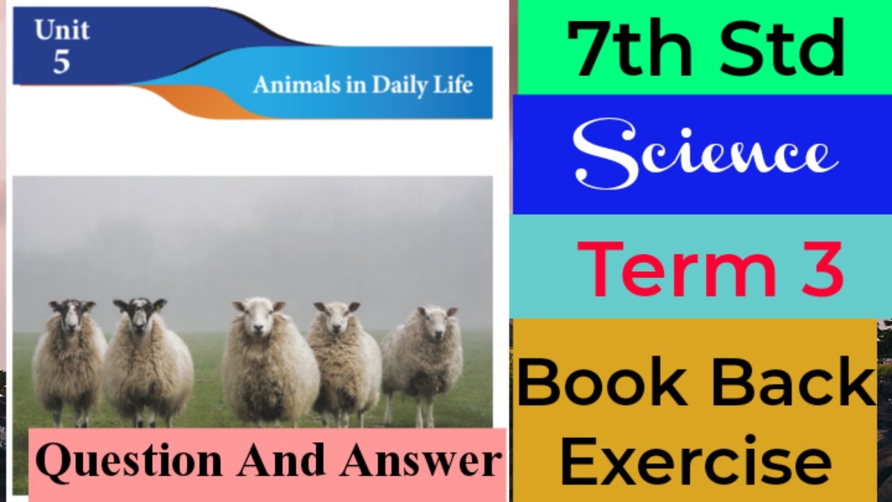 7th Std - Term 3 | Science - Animals in Daily Life - Book Back Exercise