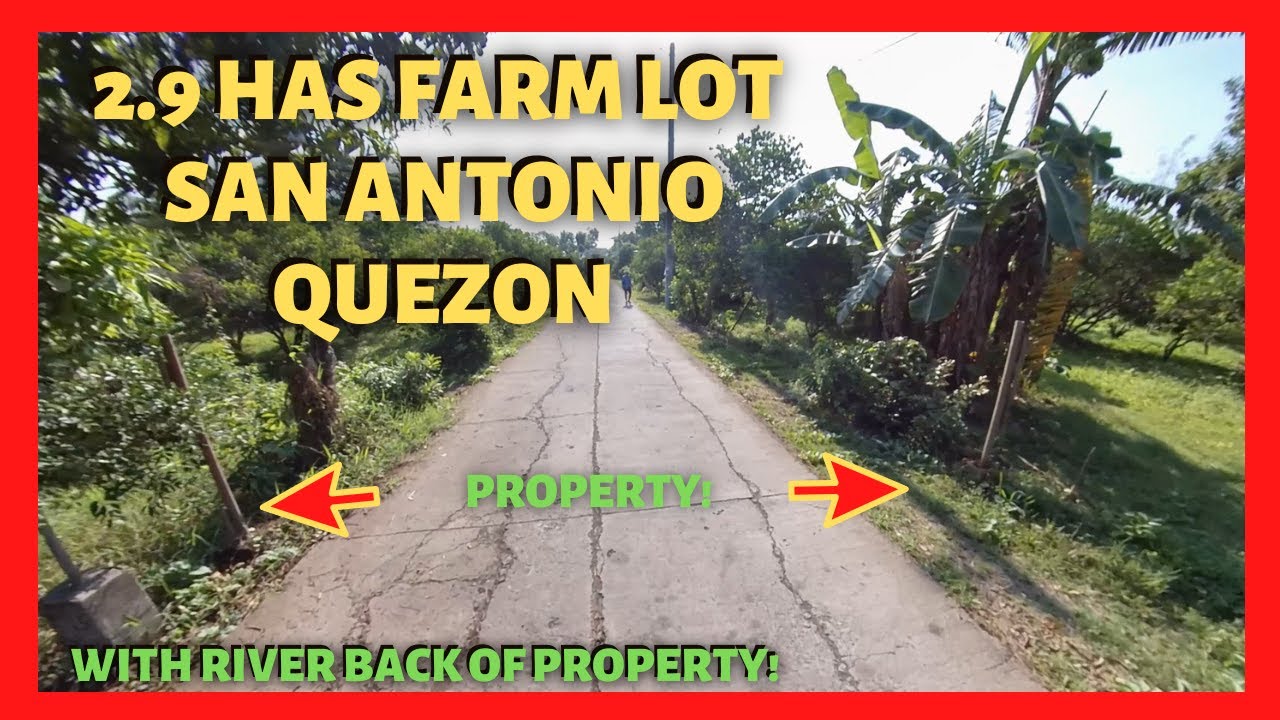 2.9 Has Farm Land with House in San Antonio, Quezon for Sale (Lot Code: 2325)