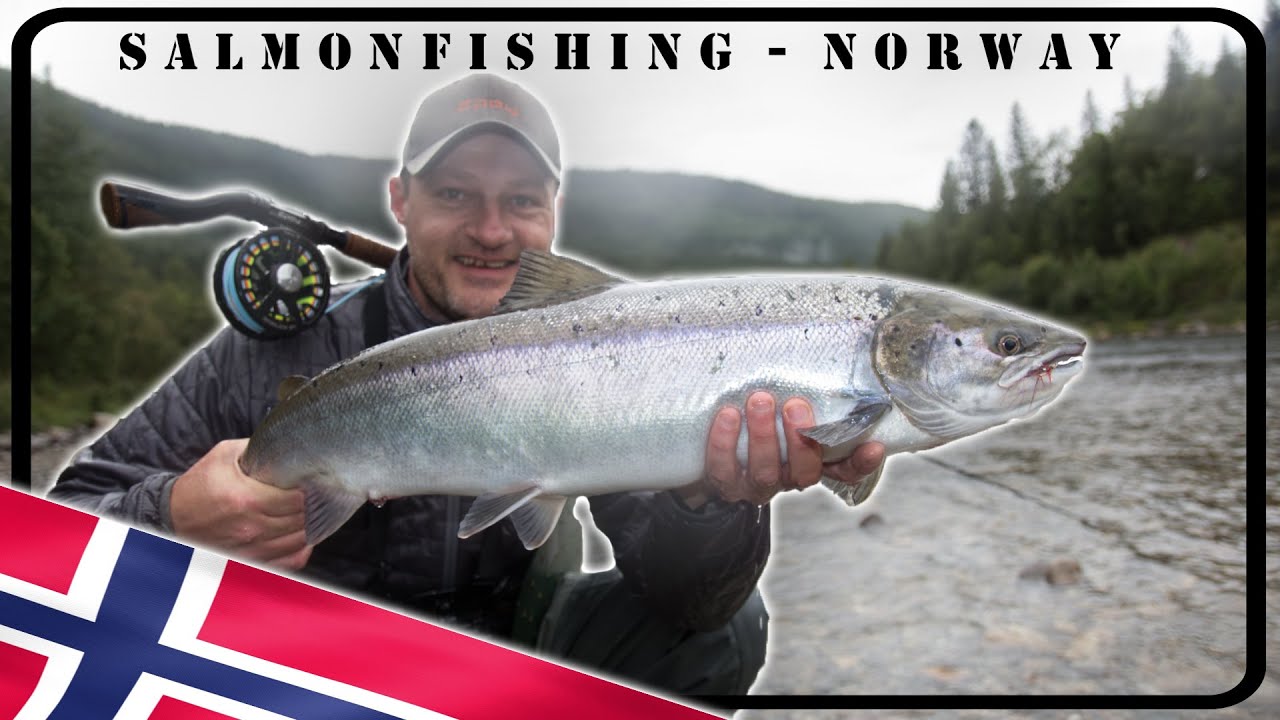 Salmonfishing • Norway