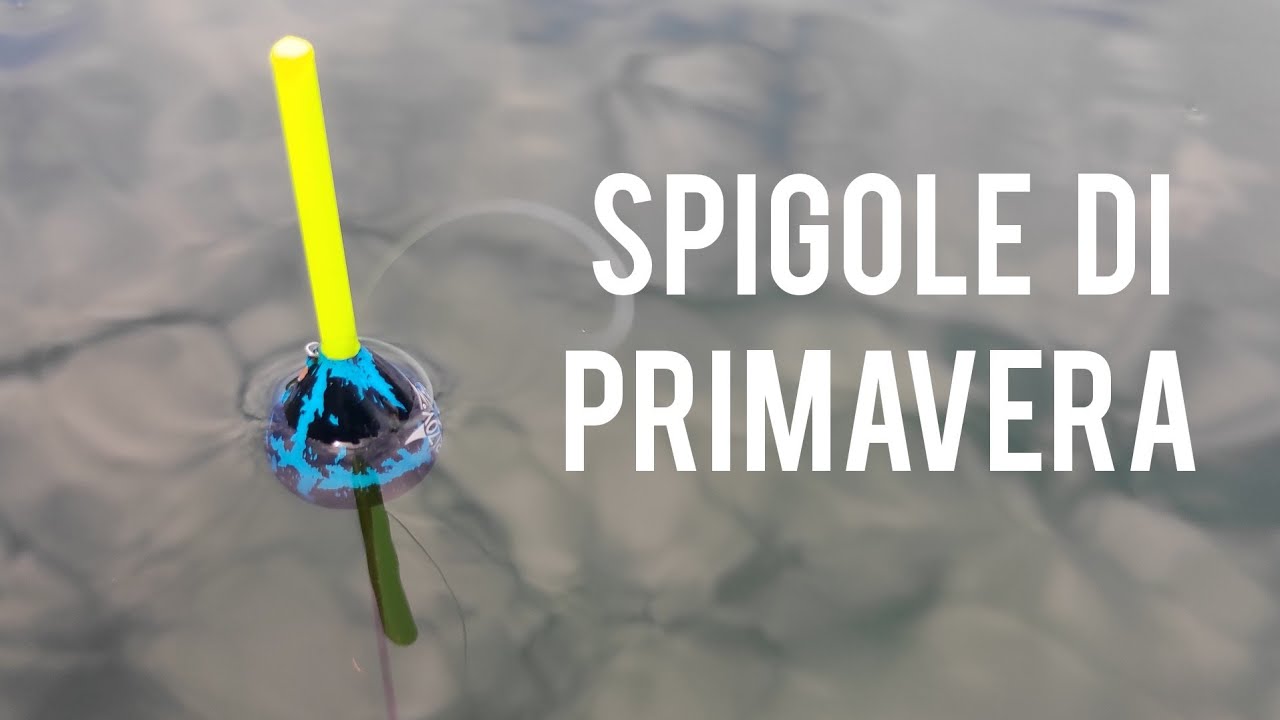 PESCA a BOLOGNESE  | SPIGOLE di PRIMAVERA.