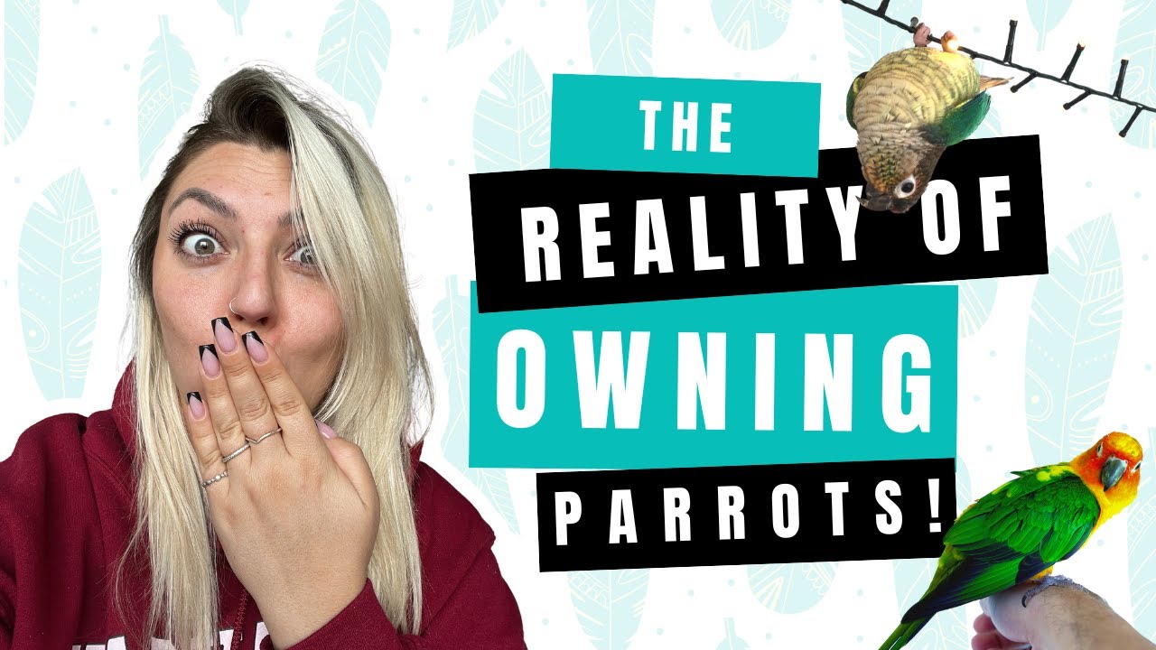 What it's REALLY like to own a PARROT!