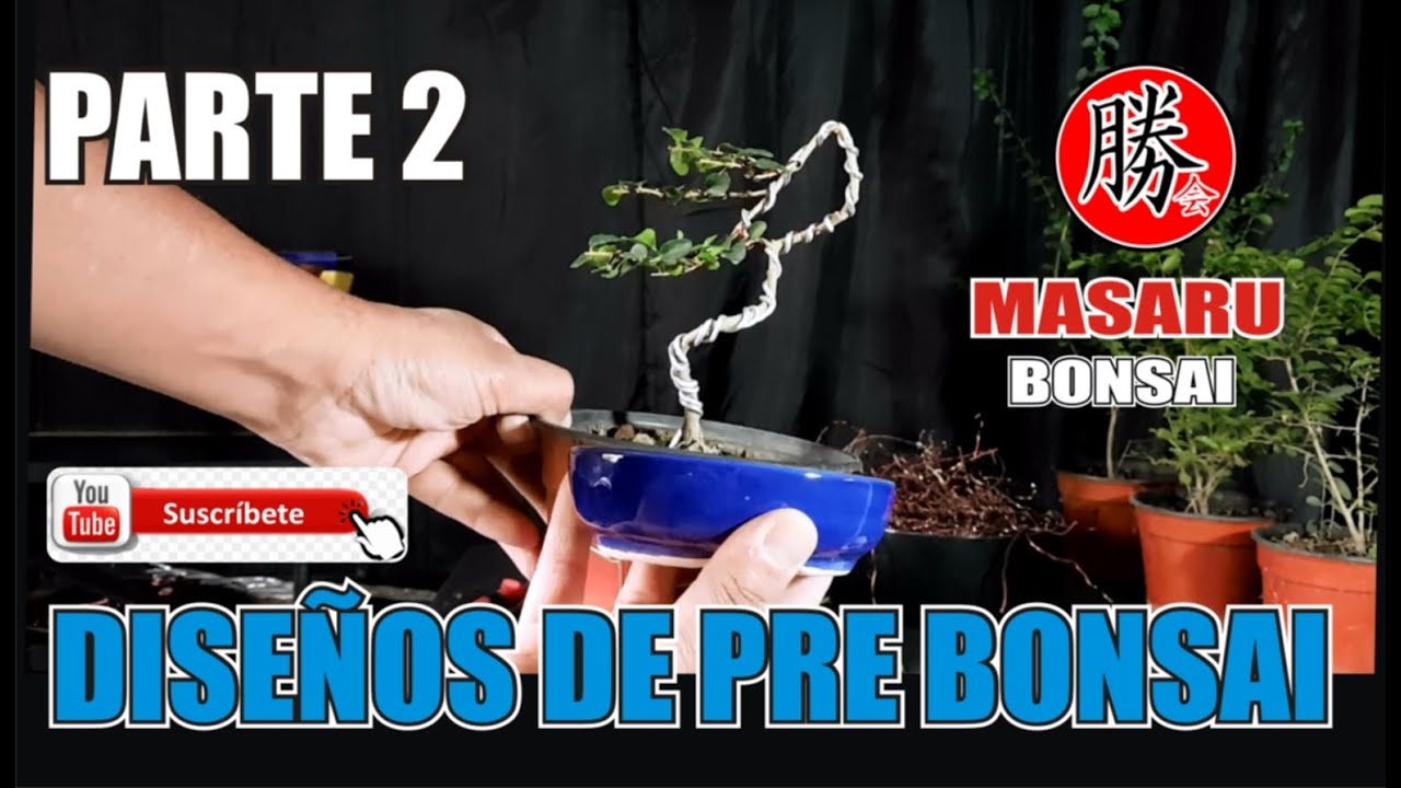 APRENDER A DISEÑAR TU BONSAI Y UN PRE BONSAI ✔LOS PRIMEROS ALAMBRADOS EN BONSAI - PARTE 2💚