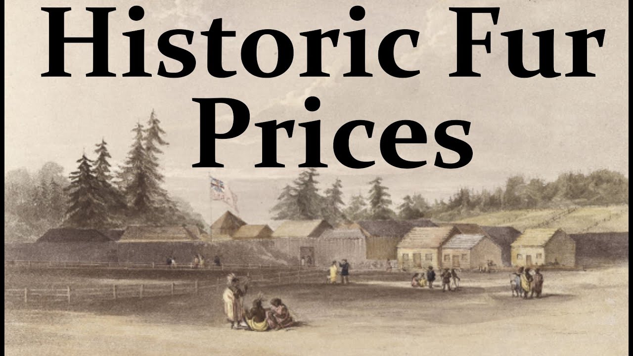 Historic Fur Trade Numbers! How much better was it? 1500s to now