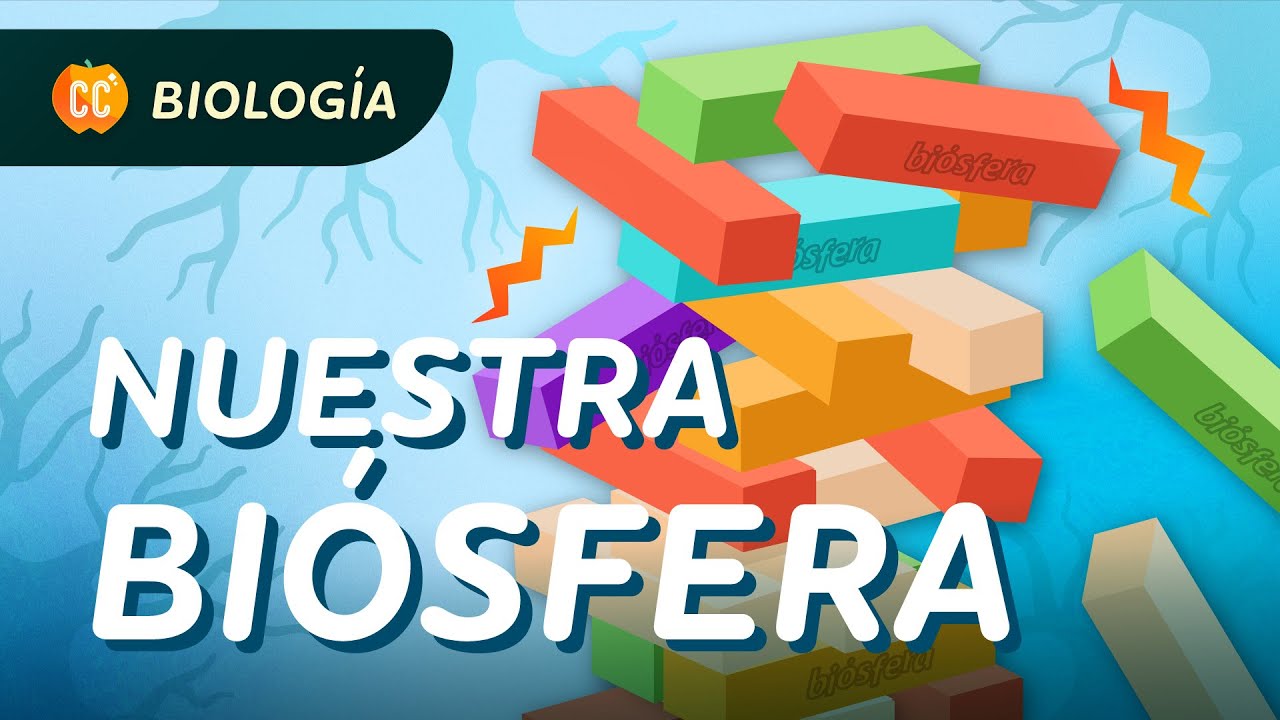 &iquest;Por qu&eacute; es importante la biolog&iacute;a de la conservaci&oacute;n?: Crash Course Biolog&iacute;a #10