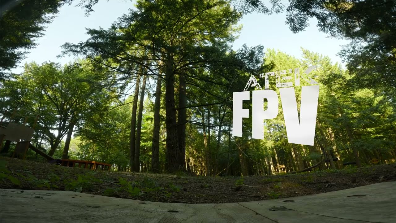 Bumps and Branches  | FPV Freestyle