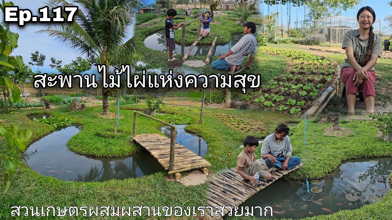 Ep.117 สะพานไม้ไผ่แห่งความสุข สวนเกษตรผสมผสานของเราสวยมาก