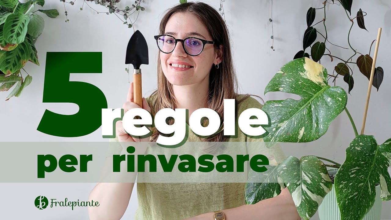 RINVASO delle piante di casa: 5 regole d'oro per NON SBAGLIARE più