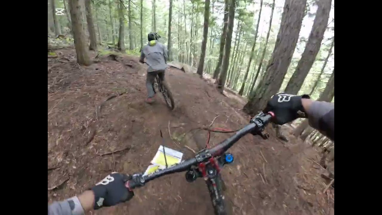 Fernie Alpine Resort