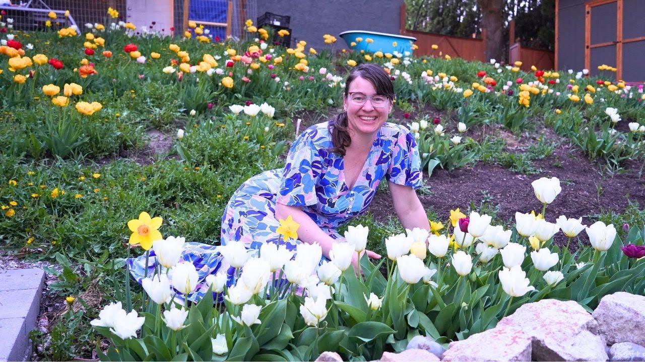 Tulip Heaven!  Spring Garden Tour