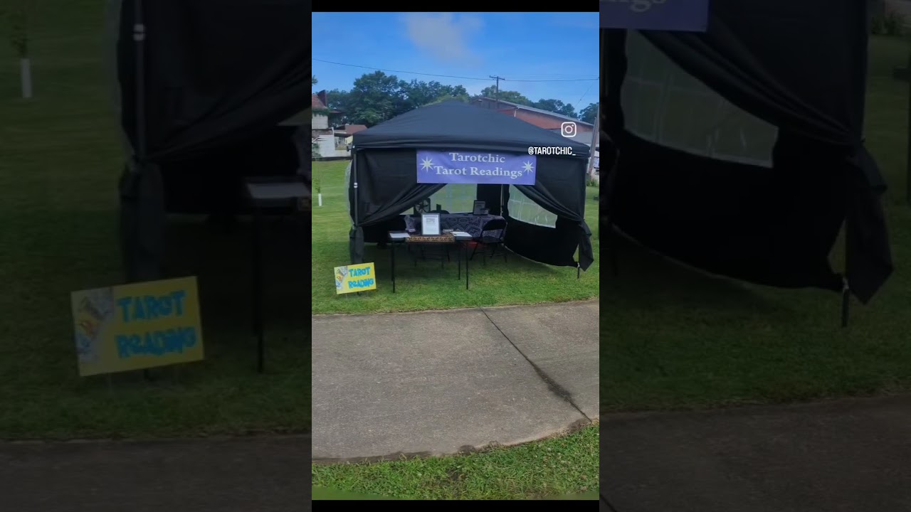 What I've been up to! 