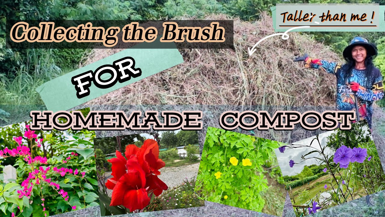 Making changes at the farm, we collect the brush ready for the next batch compost 