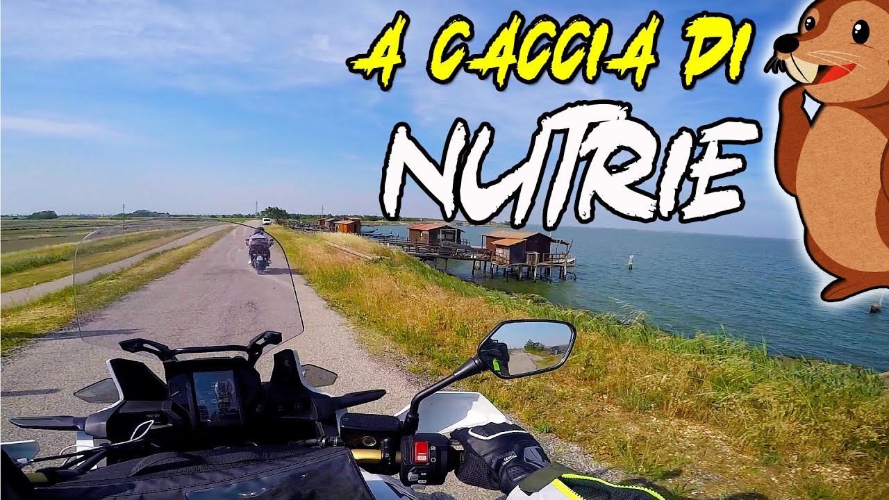 MOTOVLOG: DELTA DEL PO in moto tra fauna e flora.