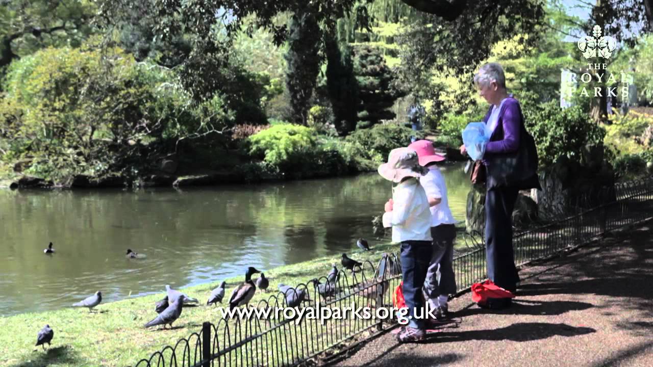 Spring Moves Into Summer in London (The Royal Parks)