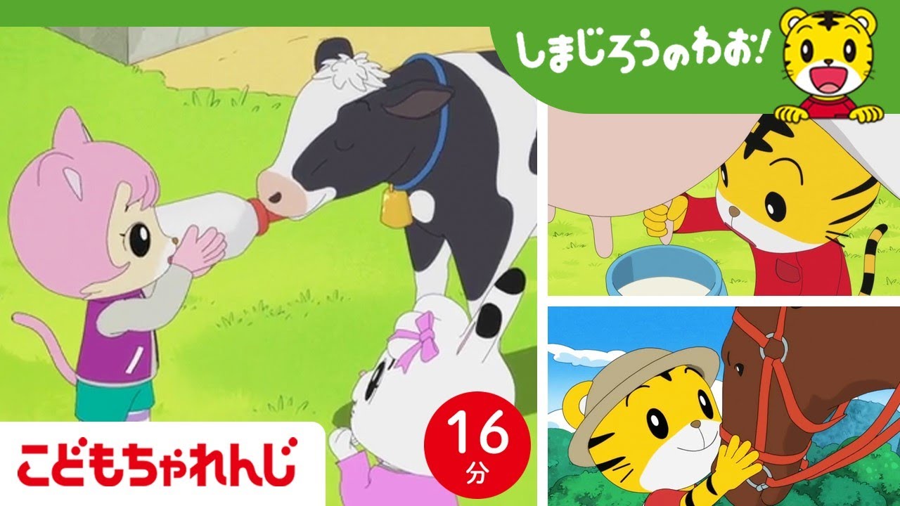【16分アニメ】牧場にお出かけ！うしさん、おうまさんと仲よくなろう🐄🐎 | 動物とふれ合う | しまじろうのわお！アニメ | しまじろうチャンネル公式