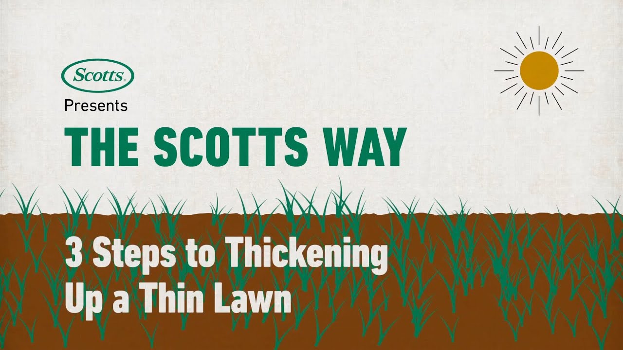 The Scotts Way -  Three Steps to Thickening Up a Thin Lawn