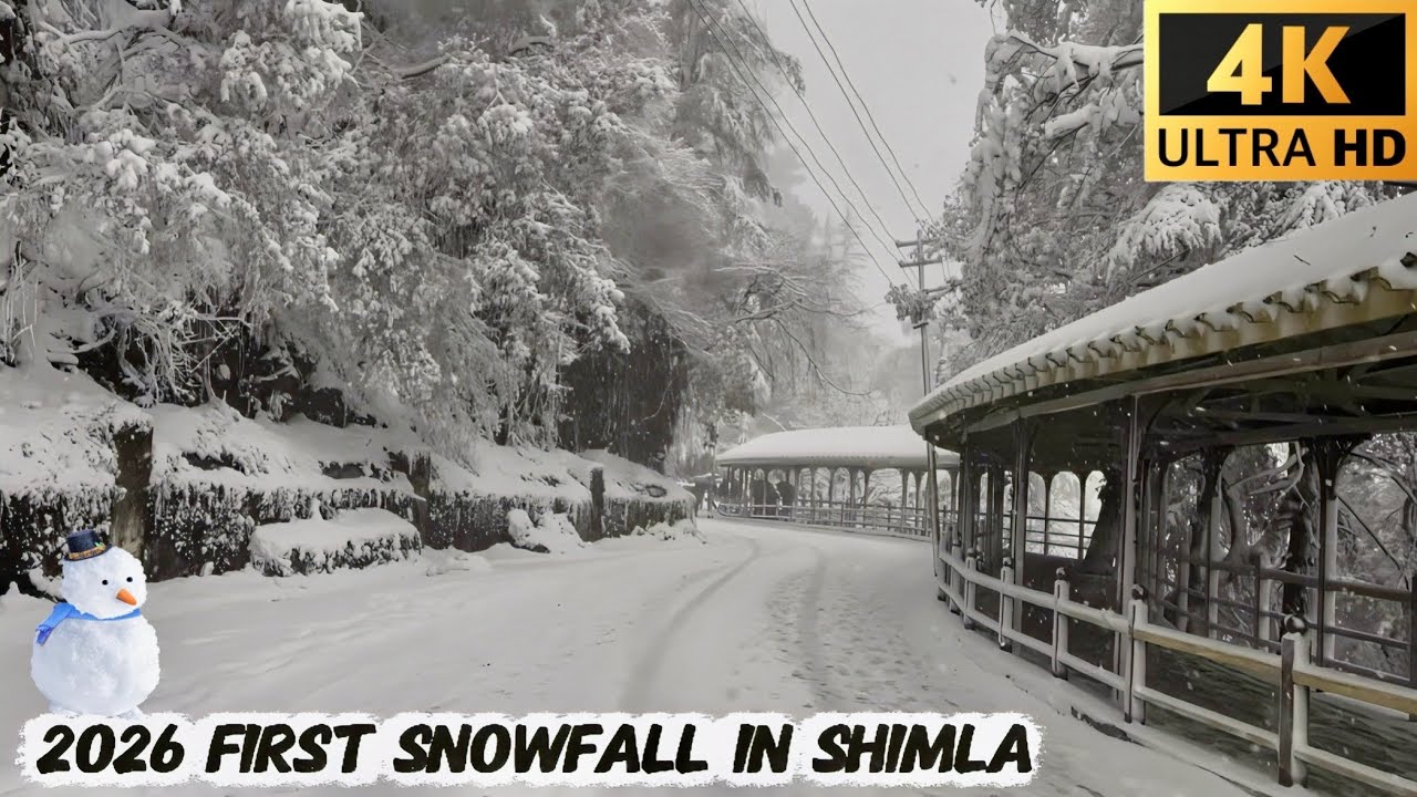 First Snowfall in Shimla // Walking Tour At Snowfall ❄️ Sanjauli To IGMC Road