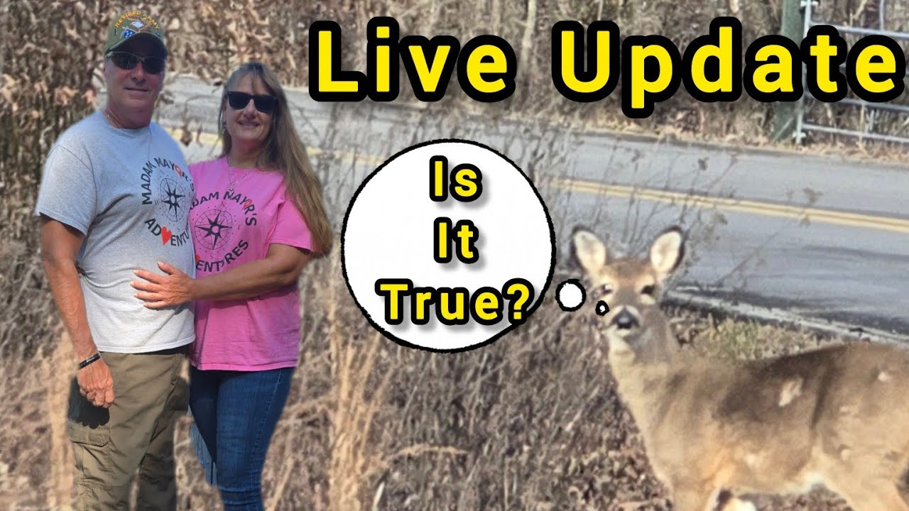 Live At Five Update